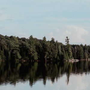 Muskoka Meandering