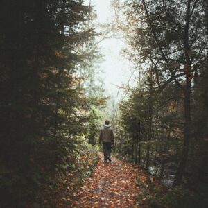Escape to Nature