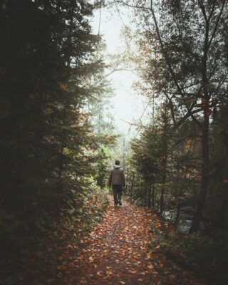Escape to Nature