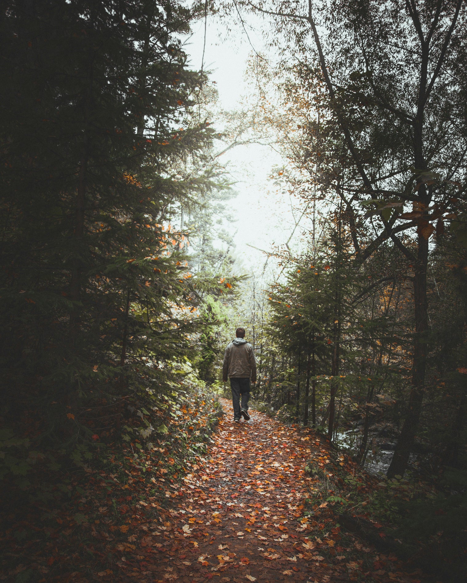 Escape to Nature